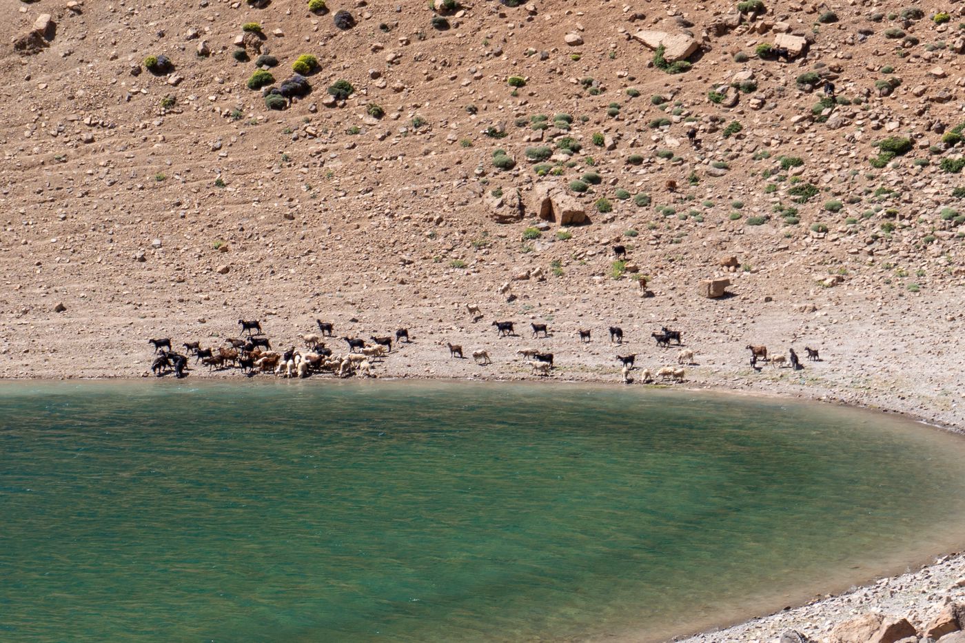 Le lac constitue un point d'eau appréciable dans ces terres arides